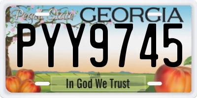 GA license plate PYY9745