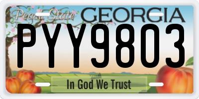 GA license plate PYY9803