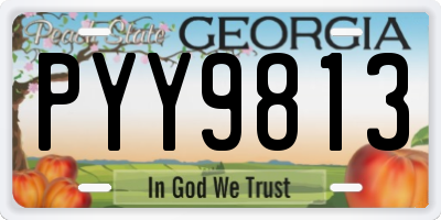 GA license plate PYY9813