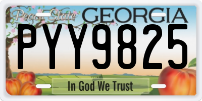 GA license plate PYY9825