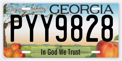 GA license plate PYY9828