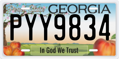 GA license plate PYY9834