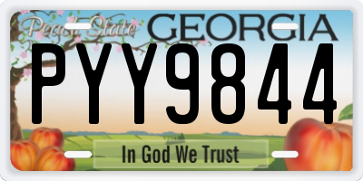 GA license plate PYY9844
