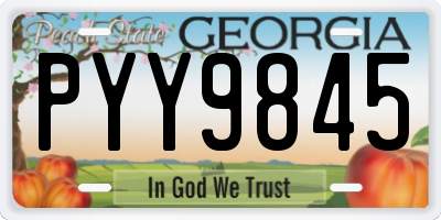 GA license plate PYY9845