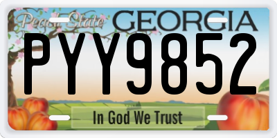 GA license plate PYY9852