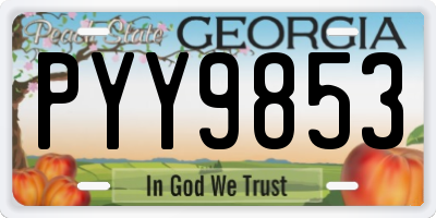 GA license plate PYY9853