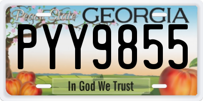 GA license plate PYY9855