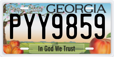 GA license plate PYY9859