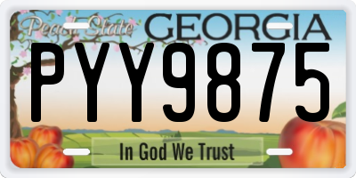 GA license plate PYY9875