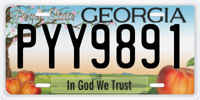 GA license plate PYY9891
