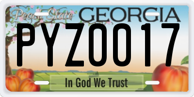 GA license plate PYZ0017