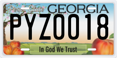 GA license plate PYZ0018