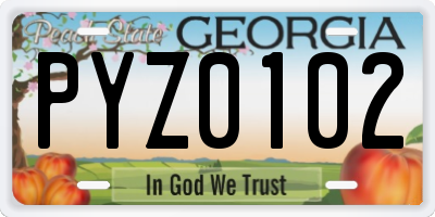 GA license plate PYZ0102