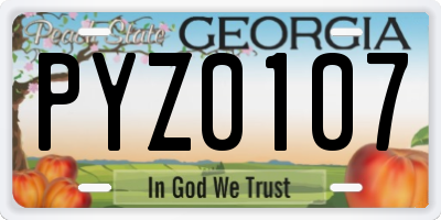 GA license plate PYZ0107