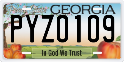 GA license plate PYZ0109