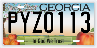 GA license plate PYZ0113