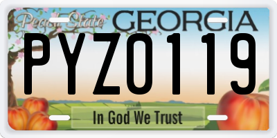GA license plate PYZ0119