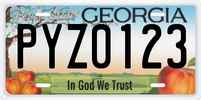 GA license plate PYZ0123