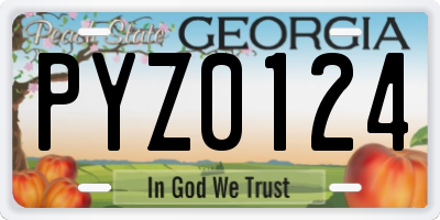GA license plate PYZ0124