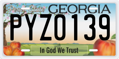 GA license plate PYZ0139