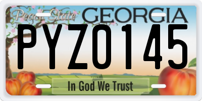 GA license plate PYZ0145
