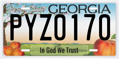 GA license plate PYZ0170