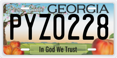 GA license plate PYZ0228