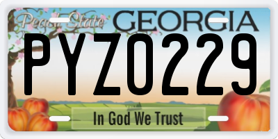 GA license plate PYZ0229