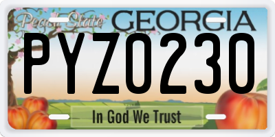 GA license plate PYZ0230