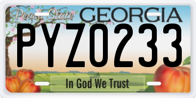 GA license plate PYZ0233