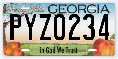 GA license plate PYZ0234