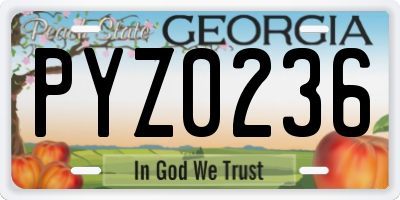GA license plate PYZ0236