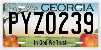 GA license plate PYZ0239