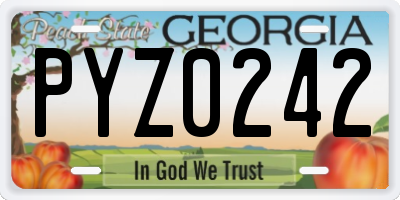GA license plate PYZ0242