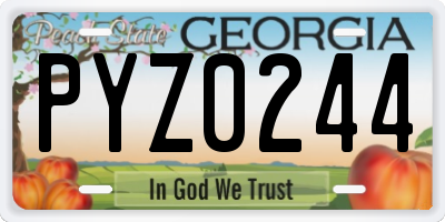 GA license plate PYZ0244