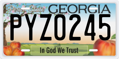 GA license plate PYZ0245