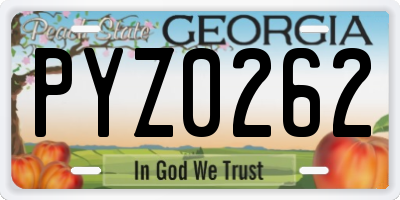 GA license plate PYZ0262