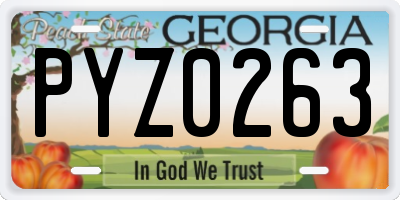 GA license plate PYZ0263