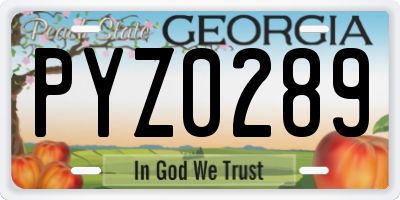GA license plate PYZ0289