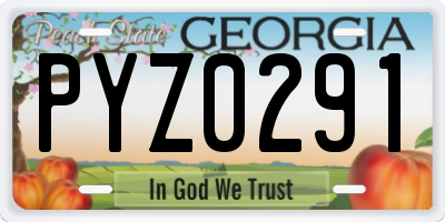 GA license plate PYZ0291