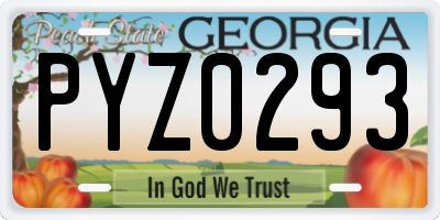 GA license plate PYZ0293