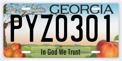 GA license plate PYZ0301