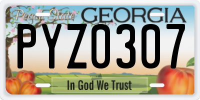GA license plate PYZ0307