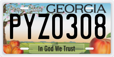 GA license plate PYZ0308