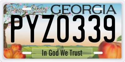 GA license plate PYZ0339