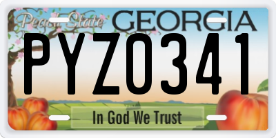 GA license plate PYZ0341