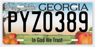 GA license plate PYZ0389