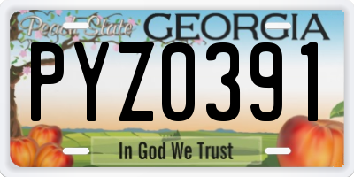 GA license plate PYZ0391