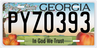 GA license plate PYZ0393