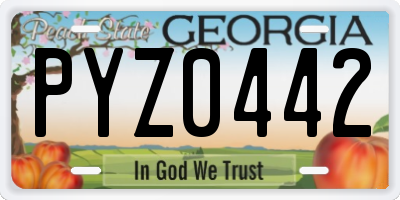 GA license plate PYZ0442
